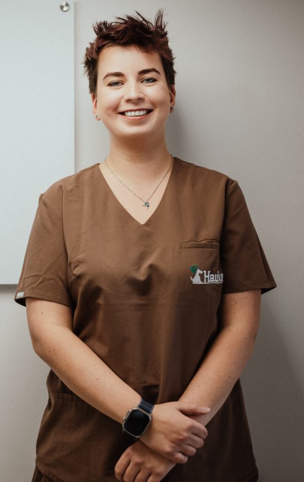 AH 0001 – ze zmianami