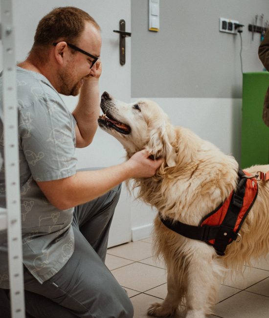 Hauke kardio kwiecien 2024 - 0024 - do internetu